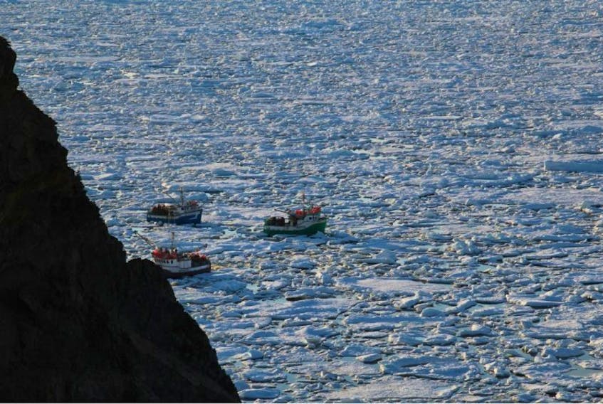 Three crab fishing boats try to maneuver through the ice off the coast of La Scie Wednesday. They became stuck in the thick ice, and two are still there today (Thursday).
