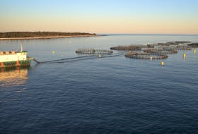  In the aquaculture industry, the fish monitoring technology developed through the Ocean Aware project will aim to provide better information for fish farmers on the health of the farm environment, and their fish crop.
