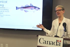 Karen Dwyer, northern cod scientist for DFO, Newfoundland region.