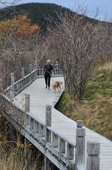 A woman and her dog enjoy a stroll along the boardwalk on the shores of Quidi Vidi Lake Friday afternoon. 
-Photo by Joe Gibbons/The Telegram
