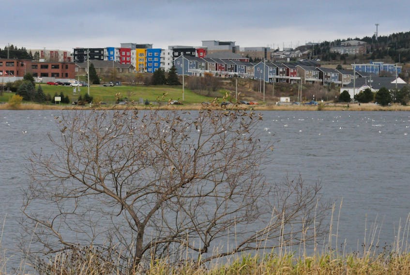 Colourful houses in Pleasantville can be seen across the lake.
-Photo by Joe Gibbons/The Telegram