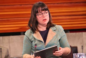 St. John's Councillor-at-Large Maggie Burton's says the process of rezoning for the development will take a long time. — TELEGRAM FILE PHOTO
