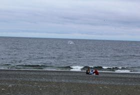 A family of beachgoers looks on as a humpback whale breaches.