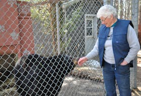 In this file photo, Oaklawn Farm Zoo co-owner Gail Rogerson visits with a bear. FILE PHOTO
