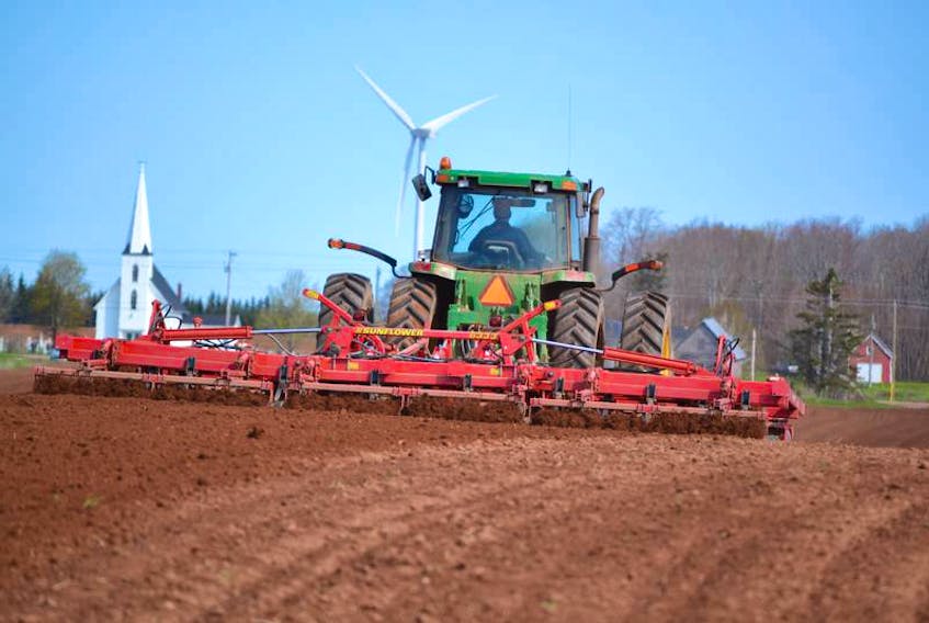 A farmer guides a set of harrows through a field being prepared for potato planting. 