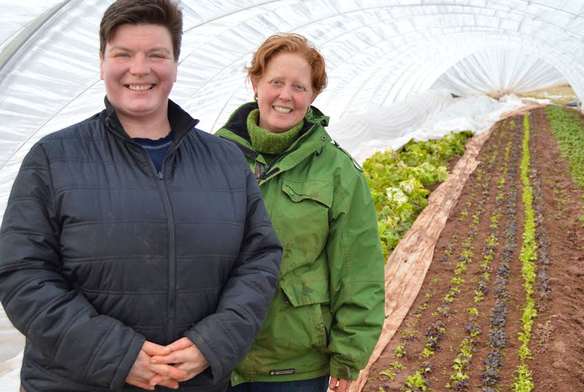 Verena Varga, left, and Amy Smith own and operate Heart Beet Organics in Darlington. The certified organic farm grows, among other products, (as shown in picture) spinach, lettuce and collard greens. DAVE STEWART/THE GUARDIAN