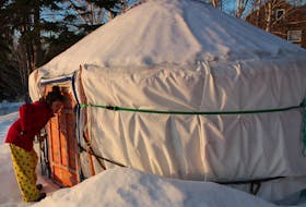 Davis Sullivan checks out one of the yurts at Cabot Shores Wilderness Resort and Retreat Centre on Feb. 26, during a morning walk around the grounds. We stayed in a similar yurt, called the Forest Yurt, which was a bit larger than this one. NICOLE SULLIVAN/CAPE BRETON POST 