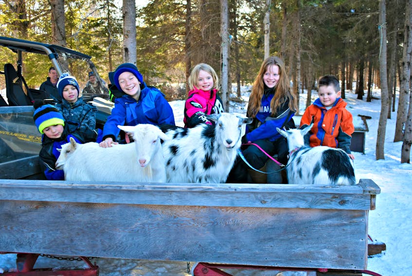 Kids, both human and animal, pack into a sleigh ready to explore nature’s call.