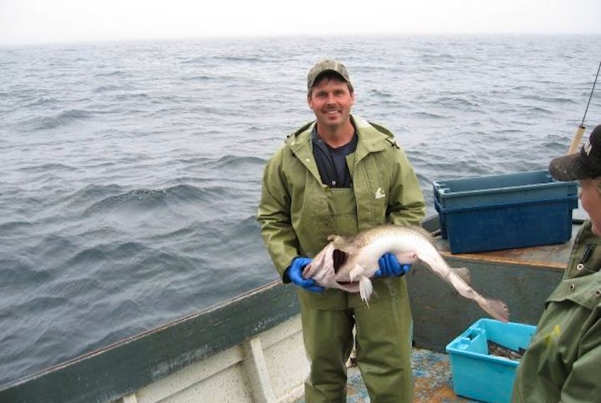 Mervin Hollett of Arnold's Cove fishes for Atlantic cod in Placentia Bay, in the 3Ps zone.