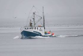 Mervin Hollett fishes cod in Placentia Bay from this 39 ft boat.