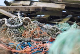 An $8 million, two-year program led by Fisheries and Oceans Canada has collected tons of lost fishing gear in the first year, according to the department. 