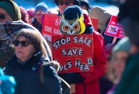 Protesters rally Thursday, Feb. 20, at Province House against the proposed sale of the Owls Head park.
