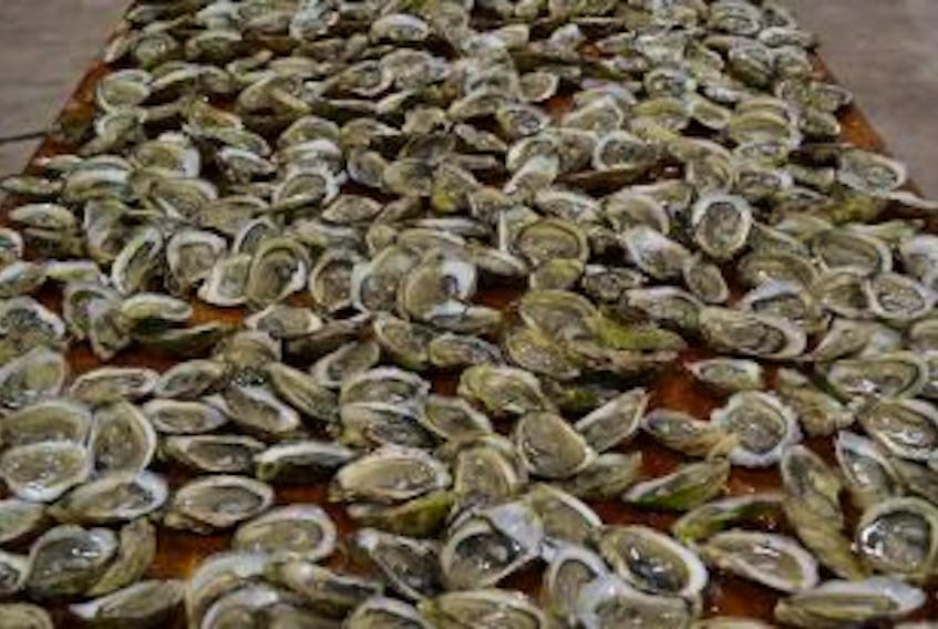 ['Oysters, and lots of them, are celebrated at the Tyne Valley Oyster Festival.']