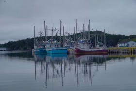 Fishing boats tied up at Southport, Trinity Bay. Under DFO regulations, these enterprises should be owned by bonafide fishing licence holders, ensuring that the benefits from the fishing licence remain in the community.