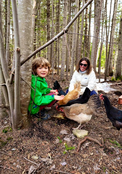 5 Lessons We Can Learn from Chicken Moms - The Cape Coop