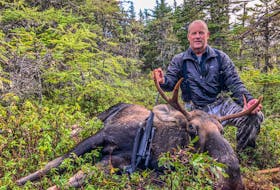 Matt Brazil with this autumn’s moose he shot. — Paul Smith photo