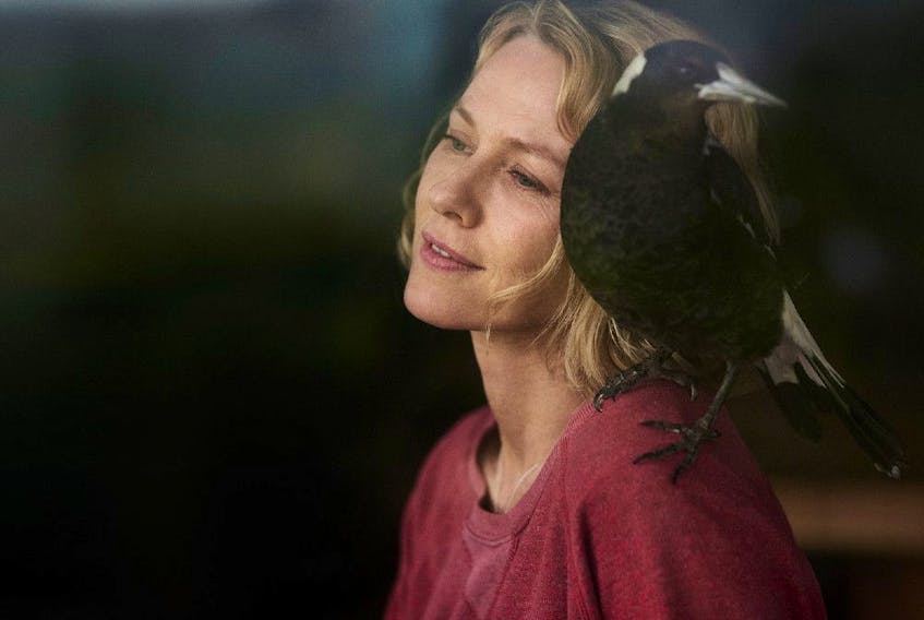 Naomi Watts and one of the 10 magpies who played Penguin in Penguin Bloom.