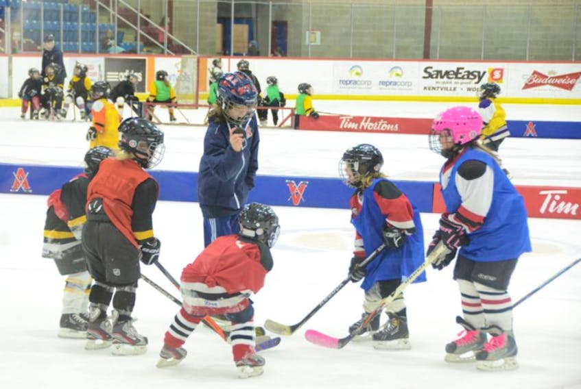 Acadia Minor Hockey's Peeweee AAA team hosted a jamboree for young players in the organization Dec. 31, complete with drills, scrimmages and snacks.The event was a fundraiser for the peewee group.
