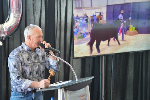 Auctioneer Brian Craswell takes bids for the grand champion at the P.E.I. Easter Beef Show and Sale in Charlottetown on Friday.