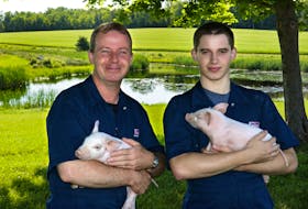 Paul Larsen and his son, Micah, hold piglets from Larsen's hog operation in Belfast, P.E.I. Larsen, who is chairman of the P.E.I. Hog Commodity Marketing Board, says the approximately 20 licenced hog producers in the province are working hard to survive challenges created by the pandemic. 