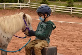 Ethan Chaisson, 9, pats Bobbi, the miniature horse, after successfully leading him through an obstacle course at Joyriders in Hunter River. 