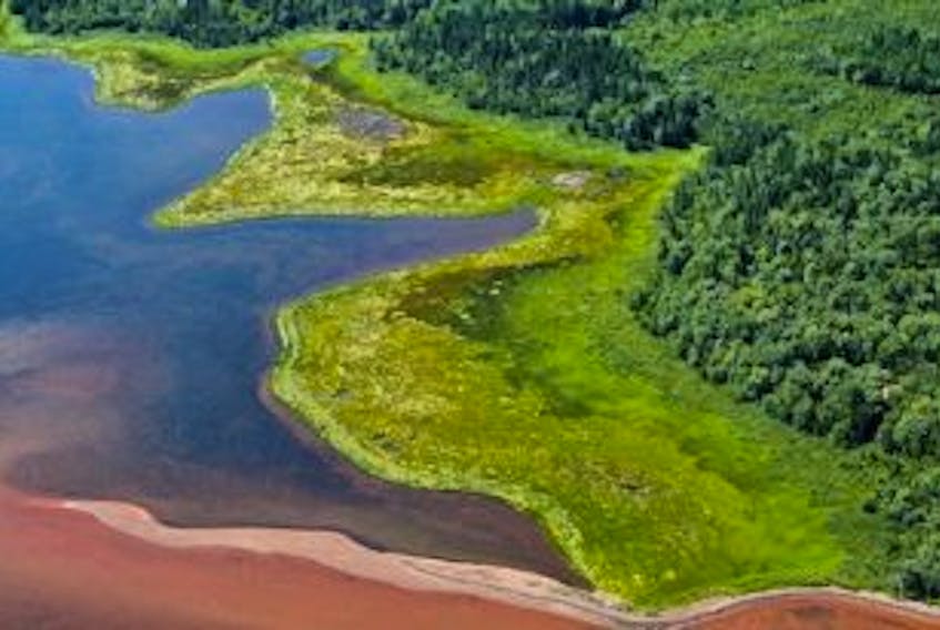 ['The Nature Conservancy of Canada announces protection of a parcel of wetland on the Percival River, by Egmont Bay, in celebration of World Wetlands Day Feb. 2.']