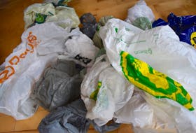 Both the Green Party and the Liberals in New Brunswick are hoping to see the government take some concrete action on adopting legislation to phase out the use of single-use plastic bags when the Legislature resumes next month.