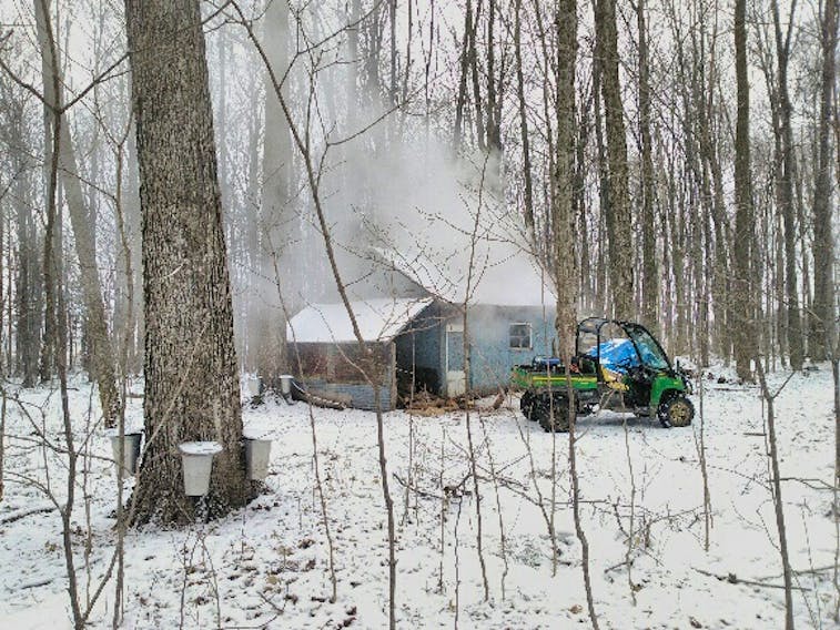 I dream of being home as the sweet steam billows from the chimney on a peaceful morning in the sugar bush in South Glengarry On.