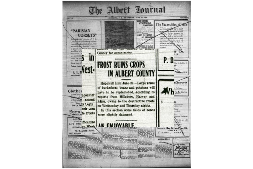 A few years ago, a viewer sent Cindy Day an old newspaper clipping that recounted a devastating late June frost in 1918 in southeastern New Brunswick.
