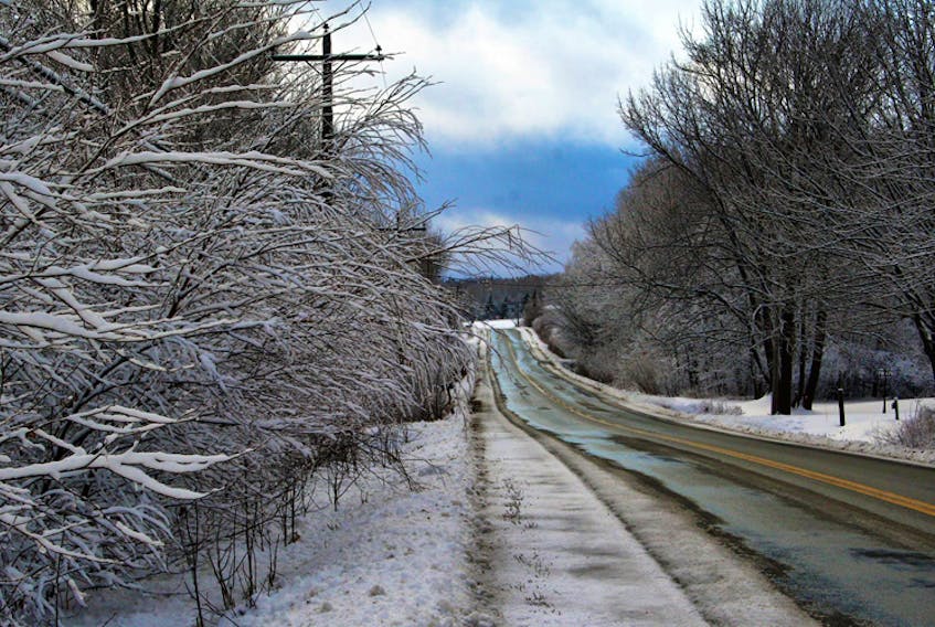 A break in the weather, but for how long? Most people wouldn't mind the snow if it always looked as pretty as this.  Blake Haley came across this bare tree-lined road near Braeshore in Pictou County N.S.
