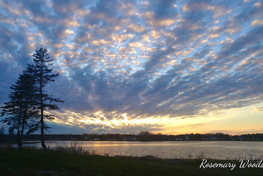 Sunday was quite lovely in Sydney Mines Cape Breton. Rosemary Woods was out enjoying the May sun when she noticed this perplexing pattern in the sky.  She was king enough to share it with those of us who were not treated to the beautiful blanket of clouds.