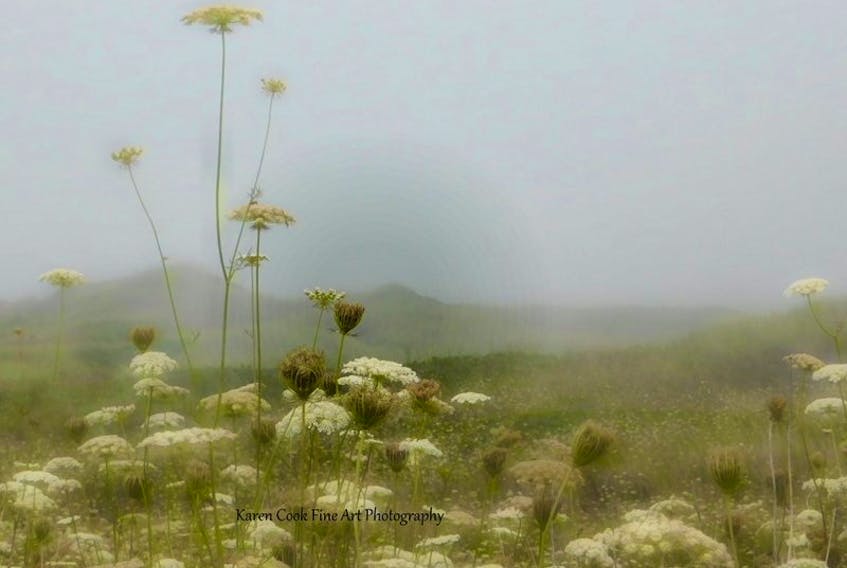 Karen Cook can find beauty in ever type of weather.  She came across this foggy scene in Nova Scotia's Annapolis Valley.