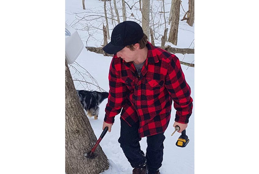 Last week's "full sap moon" didn't make the sap flow, but a favourable temperature trend did.  Angela Thom's son Alex was busy tapping trees in their sugar bush in Lower Greenwich, N.B.,  on the first day of spring!