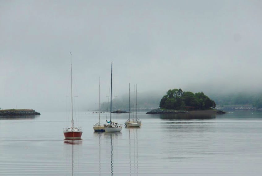 Sections of the south shore of Nova Scotia's mainland are often shrouded in fog.  It was a very still morning at the coast when Lew Turner snapped this  beauty.