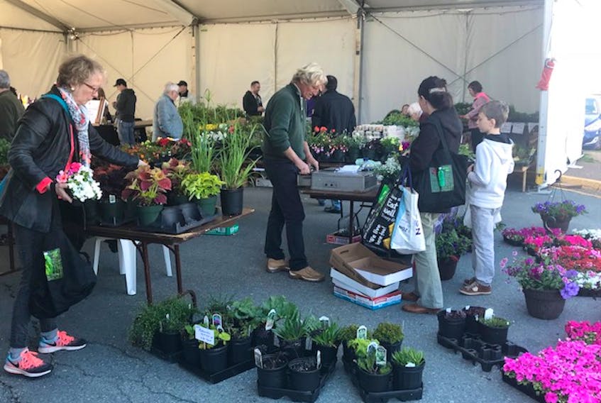 The Alderney Landing Farmers' Market in Dartmouth, N.S.,  was a popular spot to pick up locally gown plants for the garden over the Victoria Day weekend. Cindy Day walked away with with quite a few!
