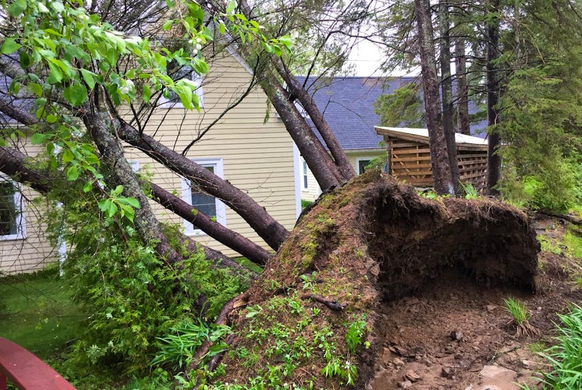 This photo was taken by Samantha A. May 23 in Fredericton, N.B.  Severe wind gusts brought down six trees on her parents' property that afternoon.