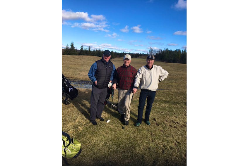 Roger Surette doesn't usually have any trouble convincing his friends to join him for a round of golf, but the ask might have seemed a bit unusual on Friday. How often do you get to play a round in in the winter  in Halifax?  He sent us the photo of the golfers who welcomed the January thaw and had a lovely time at Indian Lake golf course near Halifax, N.S.