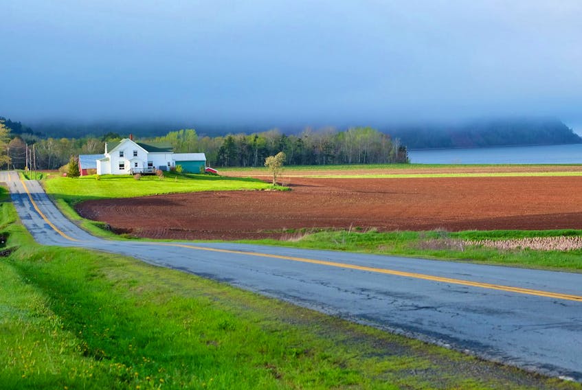 Near Blomidon, N.S.,  just as the rain clouds were clearing, but Cape Blomidon was still lost in the fog.