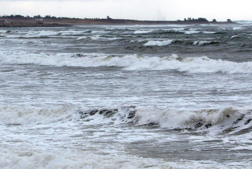 Linn Atkinson was down at Hartlen Point, N.S., Jan. 21. She noted that the sea was still angry, a day after the storm!