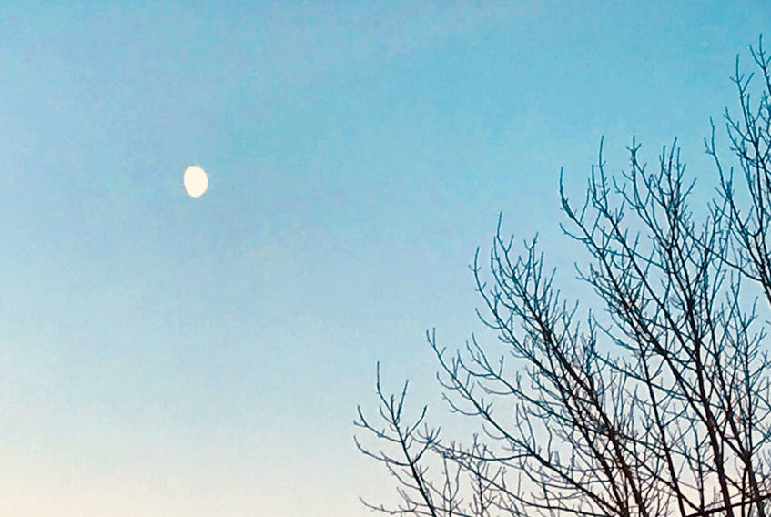 I took this photo at about 4:30 Sunday afternoon in Cole Harbour N.S. The waxing gibbous moon will be full on Friday at which time it will rise as the sun sets and be up in the sky all night.