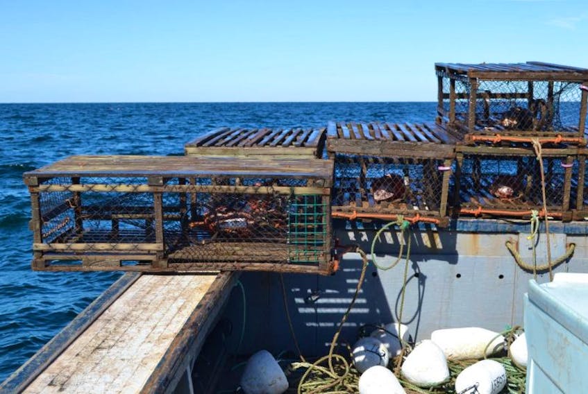 Lobster catches in parts of Nova Scotia have been down so far this year. To date, a similar situation has been seen in P.E.I. waters.

