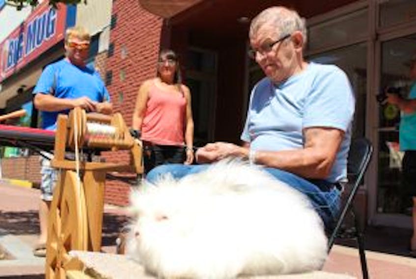 ['Melvin Gallant spins yarn made from his the wool collected from his English Angora rabbit, George.']