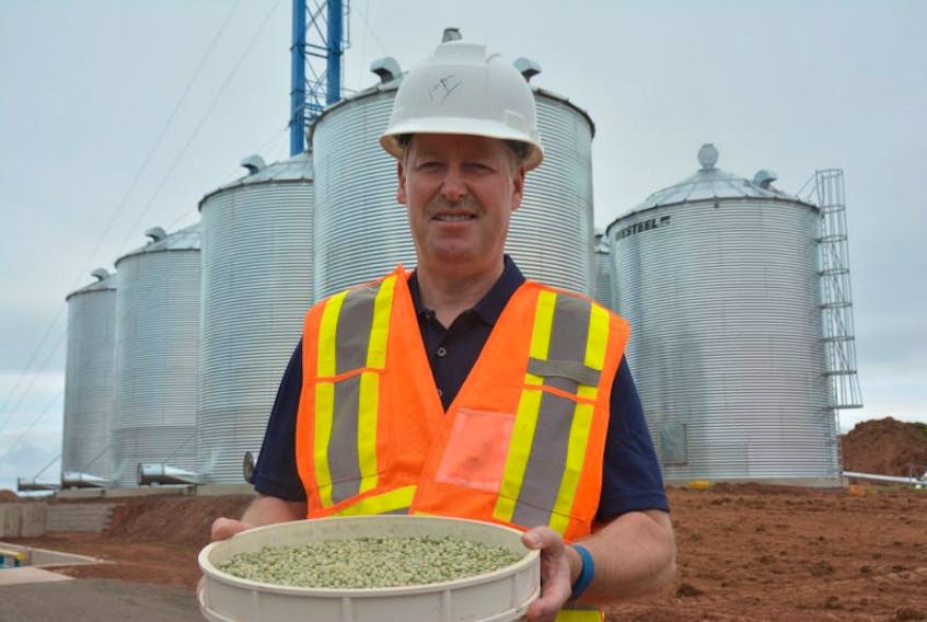 Wayne MacLean with a tray of green peas collected from a local farm. MacLean is the general manager of New Leaf Essentials East. Recently the company began working on assembling a cleaning line and building several silos to house peas, beans, and seed. 