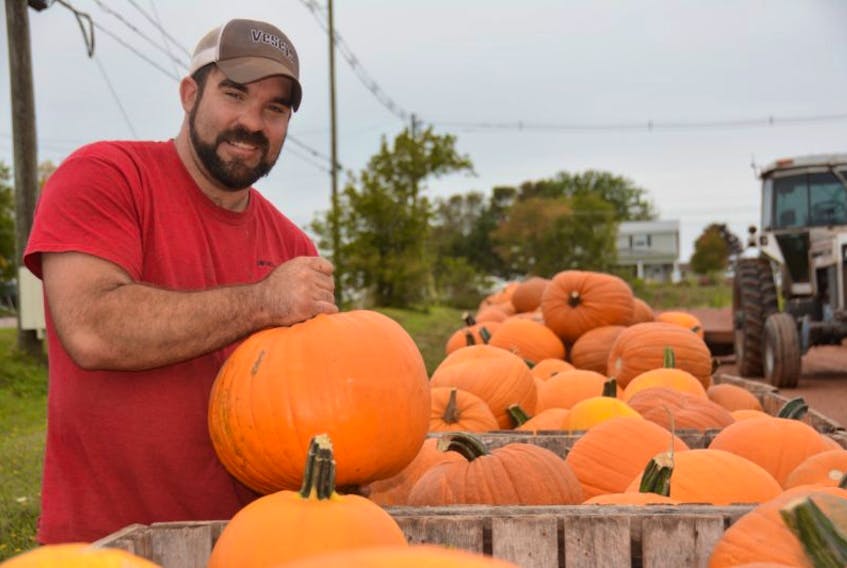 Matt Compton of Compton’s Vegetable Stand and Very Berry Patch holds some this year’s pumpkin crop, 2,000 of which were recently shipped to Newfoundland and Labrador.