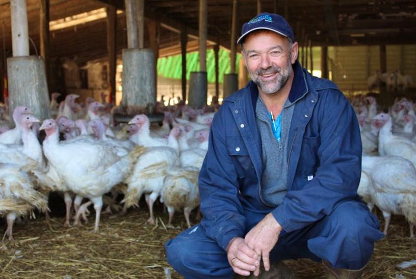 Paul Larkin, one half of the Larkin Bros., is proud to produce local turkeys and process the meat on the Island. 