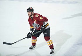 Morgan Ellis in action with the Chicago Wolves during the 2016-17 American Hockey League season. The East Bideford native will play in Sweden next season.