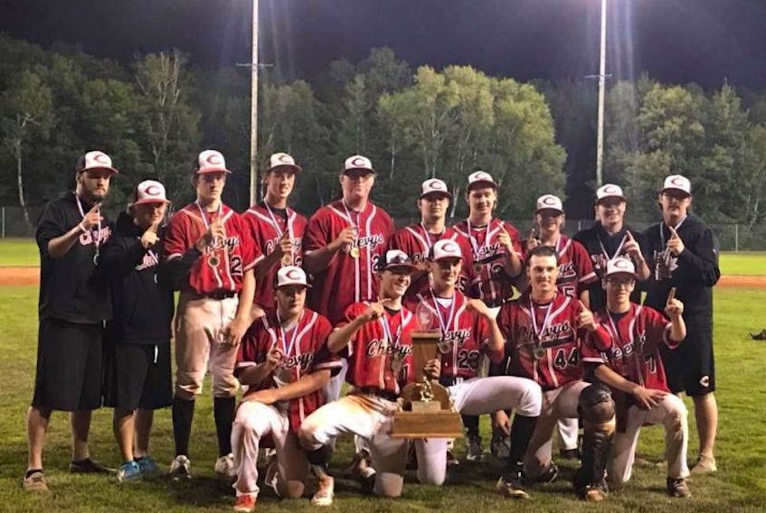 The Summerside Team One Chevys are the 2017 P.E.I. Midget Baseball League champions. The Chevys defeated the Cardigan/Northside team 5-3 in the final game in Stratford on Monday night. Members of the Chevys are, front row, from left: Morgan Crosman, Brett Caissie, Josh Myers, Logan MacDougall and Ben Christopher. Back row: Sam Cameron (head coach), Colin Loerick (coach), Dakota McPhee, Ben MacDougall, Cameron MacAulay, Brandon Condon, Kyle Richard, Justin Day, Tristan Gallant (coach) and Chasse Gallant (coach).
