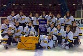 The Pictou County Subways won the Consolidated Credit Union bantam A female hockey tournament in Summerside on Sunday. Members of the Subways include goaltender Kelly Harnett, and kneeling, from left: Hayley Burke, Ashley MacDonald, Maddie MacIntyre, Lani Coolen, Mia Coolen, Jean Craig and Rory Thompson. Back row: Katie Crawford, Emma MacKeil, Abby Vint, Allie Sandluck, Emily Hayes, Taya MacLean, Megan Petipas and Brooklyn Nicholas.