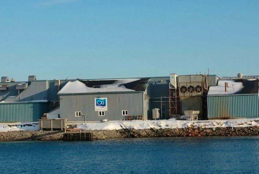 If the provincial government approves Grieg NL Seafarms Ltd.’s plan, the company has a proposed partnership in place with Ocean Choice International that would see salmon processed in St. Lawrence.