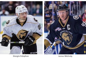 Giorgio Estephan had 50 points in 42 games for the Growlers before being recalled to the Marlies. Team cap(left) tain James Melindy had a goal and six assists in 32 games before having to serve an eight-game ECHL suspension. — Newfoundland Growlers photos/Jeff Parsons